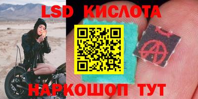 соль ск Краснодар