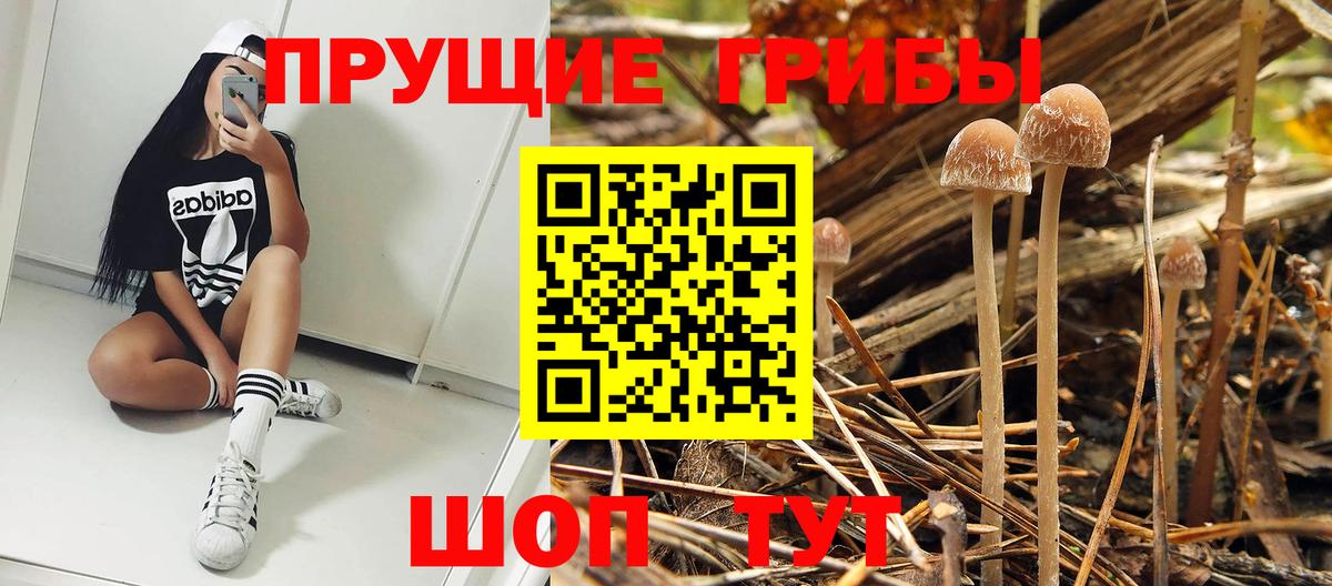 Жигулёвск  Псилоцибиновые грибы мухоморы  купить закладку  Вход с VPN  Псилоцибиновые грибы Magic Shrooms 
